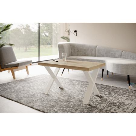 Konferenční stolek LOFT X 100x60 cm Bílá Dub sonoma Alpimeble