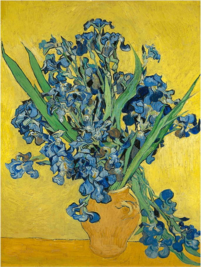 Reprodukce obrazu Vincenta van Gogha - Irises
