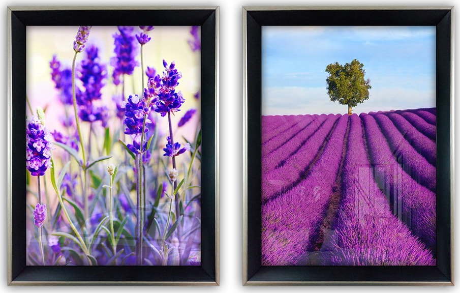 Sada 2 skleněných obrazů Vavien Artwork Lavender