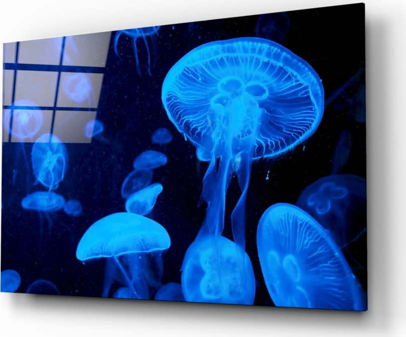 Skleněný obraz Insigne Jellyfish Insigne