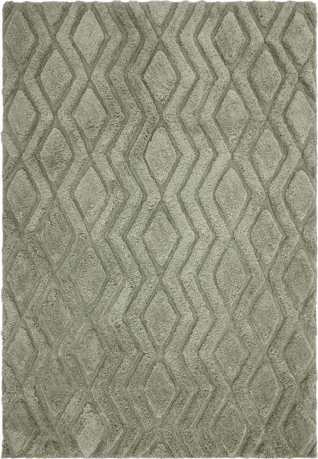 Zelený koberec 170x120 cm Harrison - Asiatic Carpets Asiatic Carpets