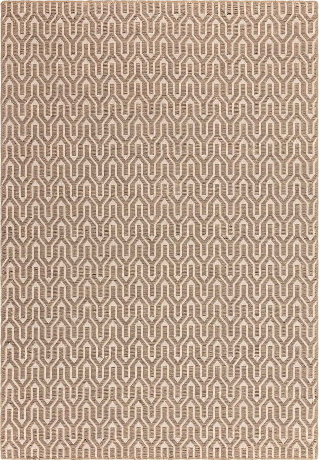 Béžový koberec 200x290 cm Global – Asiatic Carpets Asiatic Carpets