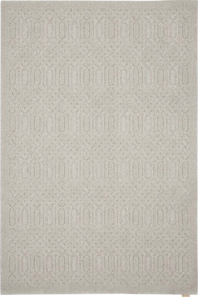Světle šedý vlněný koberec 200x300 cm Dive – Agnella Agnella