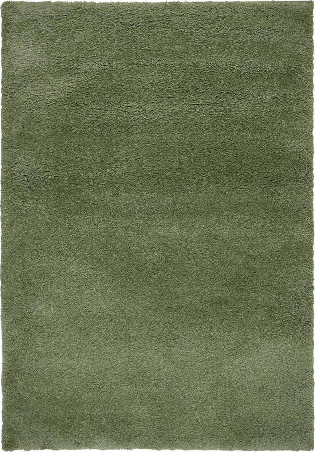 Zelený koberec 200x290 cm – Flair Rugs Flair Rugs